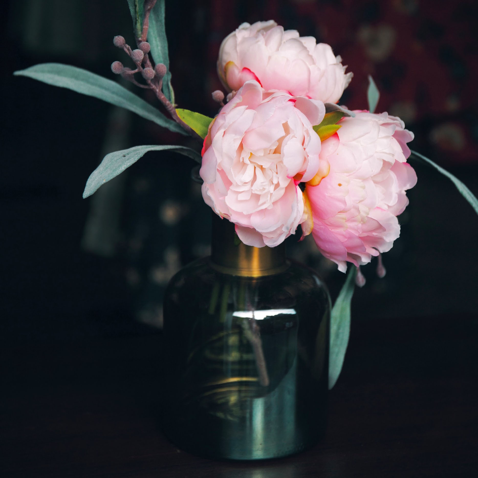 How Do You Get Rid of Bugs on Peonies?