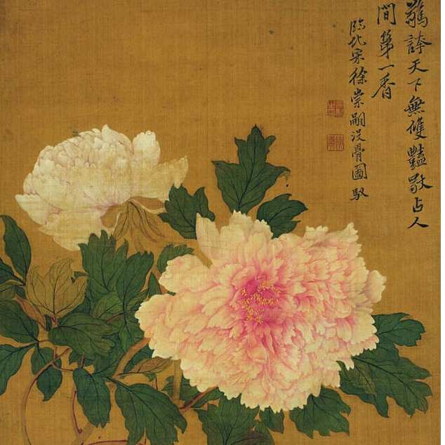 Do You Know The History And Culture of Chinese Peonies？