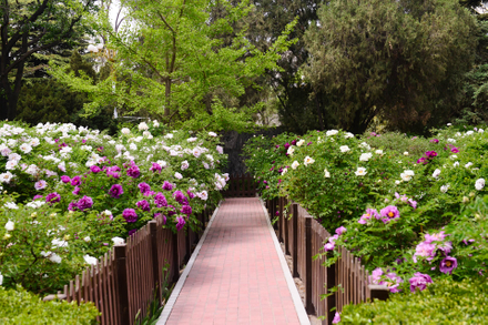 Park