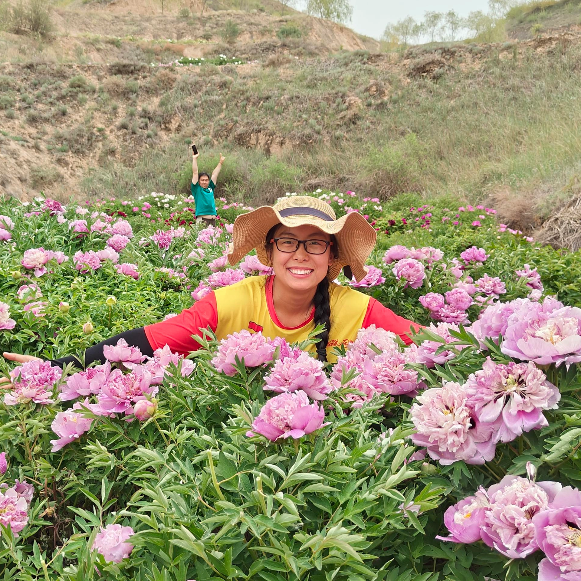 The Fragrance of Tree Peonies Is Even Stronger